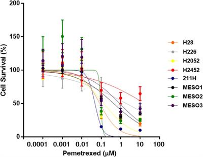 Metabolic Characterization of Antifolate Responsiveness and Non-responsiveness in Malignant Pleural <mark class="highlighted">Mesothelioma Cells</mark>